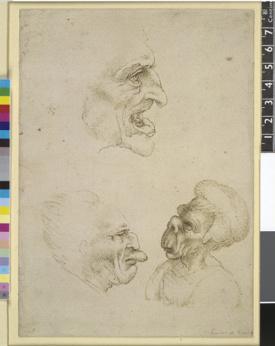 Từ đây, họa sĩ da Vinci ứng dụng một cách hoàn hảo và nhuần nhuyễn tỷ lệ vàng của con người cũng như vạn vật trong các bức họa tuyệt mỹ của mình. video: Hé lộ chân dung đích thực nàng Mona Lisa qua xét nghiệm AND (nguồn: VTC14)