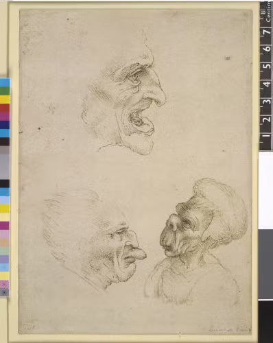 Từ đây, họa sĩ da Vinci ứng dụng một cách hoàn hảo và nhuần nhuyễn tỷ lệ vàng của con người cũng như vạn vật trong các bức họa tuyệt mỹ của mình. video: Hé lộ chân dung đích thực nàng Mona Lisa qua xét nghiệm AND (nguồn: VTC14)