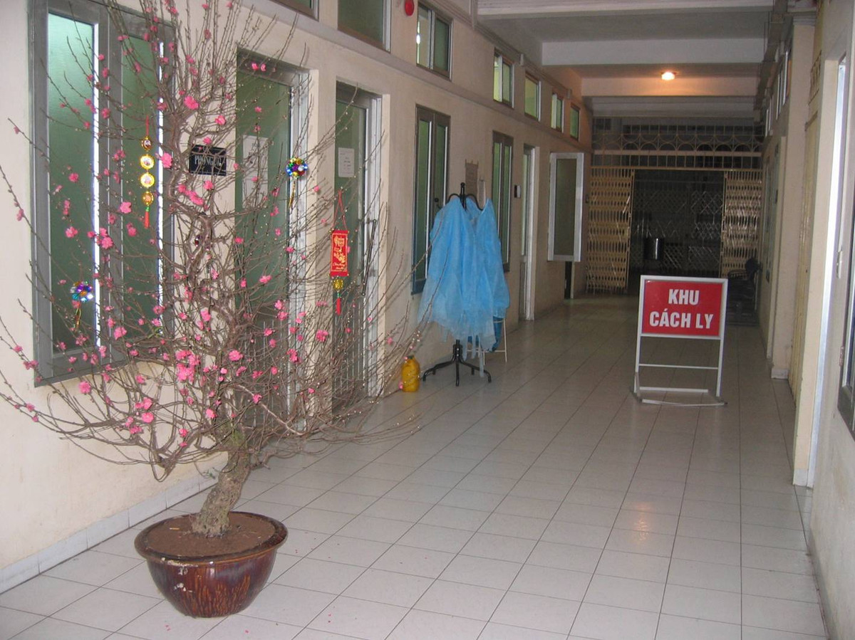 Bộ Y tế Việt Nam phối hợp chặt chẽ với WHO để kiểm soát dịch bệnh. Chín phủ cũng áp dụng hệ thống kiểm soát dịch bệnh trên toàn quốc.