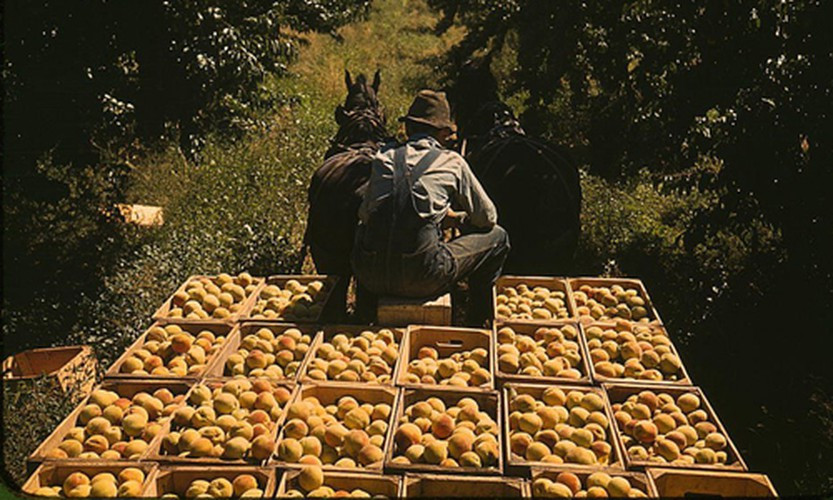 Nhờ những điều này, sức khỏe của người dân ở Mỹ tốt hơn và tuổi thọ cũng thăng lên.