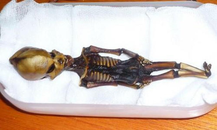 Sự quan tâm của công chúng đổ dồn về việc phát hiện một bộ xương hình người chỉ cao 15 cm ở sa mạc Atacama (Chile) vào năm 2003.