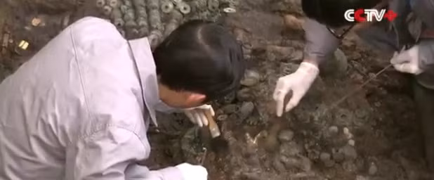 Thông qua phát hiện này, các chuyên gia nhận định ngôi mộ của viên quan lại trên là cổ mộ lớn nhất và được bảo tồn tốt nhất từ thời nhà Tần.