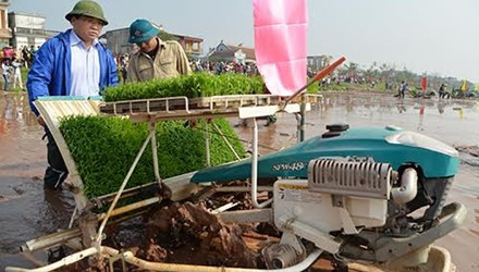 Sáng ngày 14/2, ông Hoàng Trung Hải đã lội đồng cấy lúa cùng nông dân xã Nam Triều (Phú Xuyên, Hà Nội) nhân lễ xuống đồng đầu năm.
