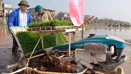 Sáng ngày 14/2, ông Hoàng Trung Hải đã lội đồng cấy lúa cùng nông dân xã Nam Triều (Phú Xuyên, Hà Nội) nhân lễ xuống đồng đầu năm.