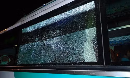 Kinh hoang nan nem da tren duong cao toc TP HCM-Long Thanh-Dau Giay-Hinh-2