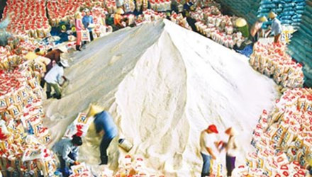 De nghi dieu tra sai pham o Tong Cty Luong thuc Mien Nam