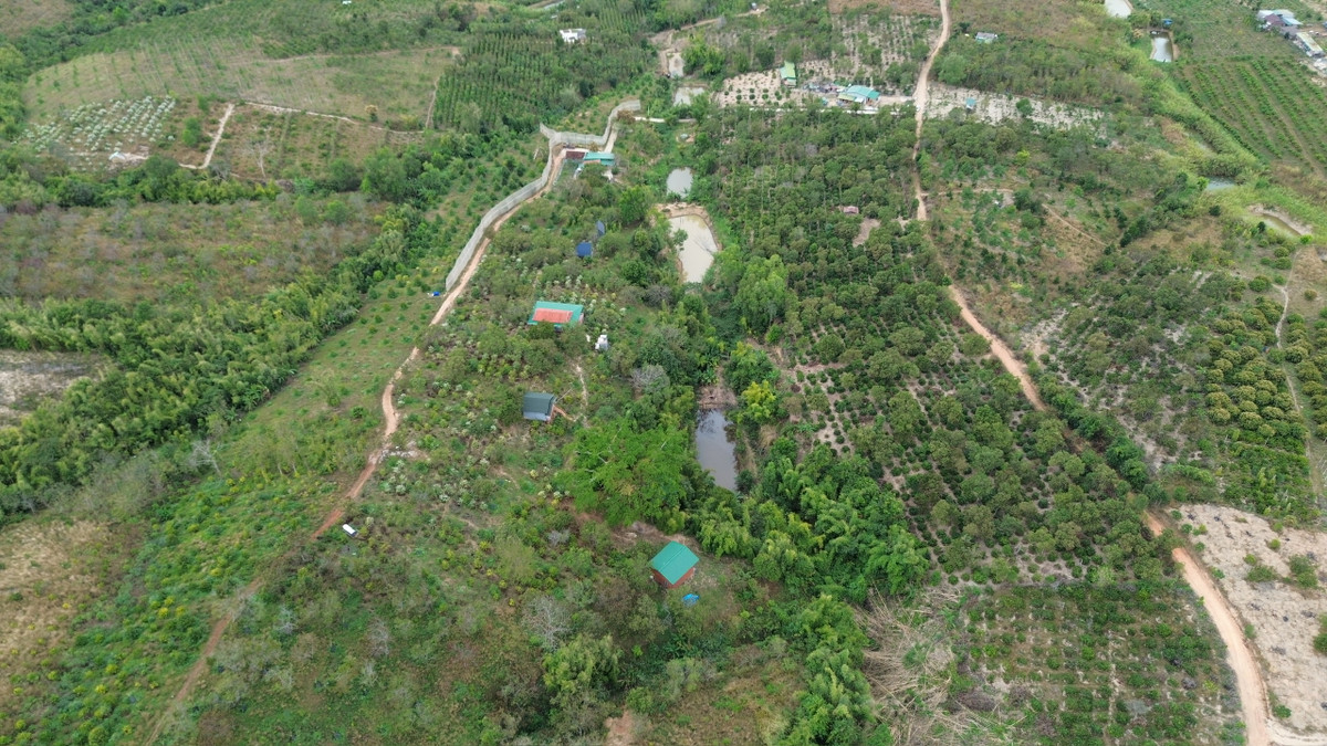 Bước đầu, cơ quan công an làm rõ, năm 2021, trong quá trình tu tập, vợ chồng Tuấn thấy nhiều người có điều kiện kinh tế rất khá giả lại mong muốn thực hiện nhanh việc tu tập để sớm đắc đạo nên đã nảy sinh ý định lừa đảo chiếm đoạt tài sản.