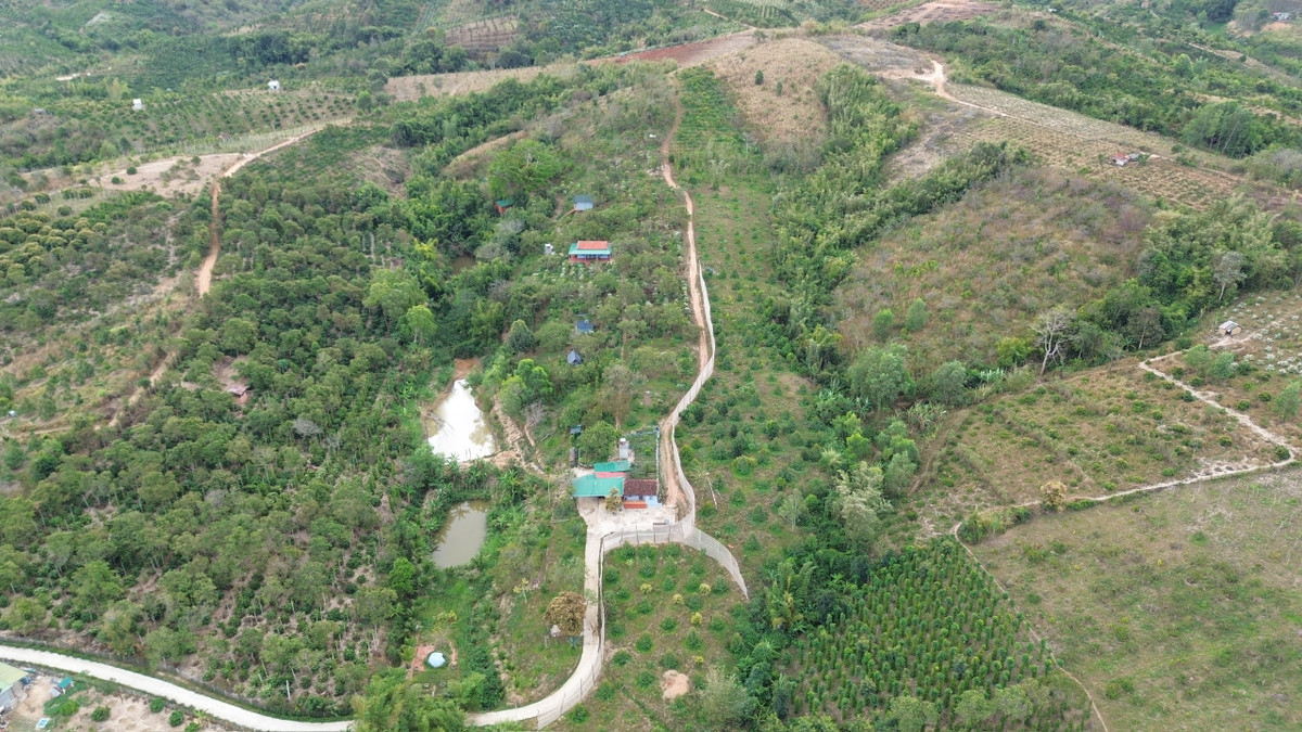 Như Báo Tri thức và Cuộc sống đã thông tin, qua công tác nắm tình hình và các biện pháp nghiệp vụ, Phòng Cảnh sát hình sự Công an tỉnh Đắk Lắk phát hiện tại một khu đất rẫy rộng lớn ở xã Ea Khal (huyện Ea H'leo, tỉnh Đắk Lắk) có xây dựng một nhà thờ tổ và 6 thất phục vụ người dân từ nhiều tỉnh, thành phố đến ẩn tu. Hoạt động tu tập tại đây có nhiều điều bất minh và có dấu hiệu của hành vi lừa đảo chiếm đoạt tài sản.