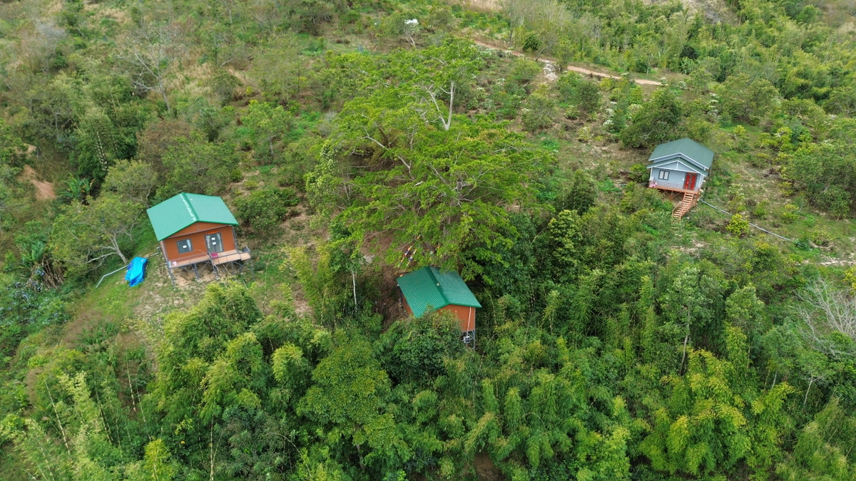 Sau khi vào cuộc xác minh, Phòng Cảnh sát hình sự Công an tỉnh Đắk Lắk xác định, khu đất rẫy trên rộng hơn 6ha là do Nguyễn Anh Tuấn (39 tuổi) và vợ là Nguyễn Thị Nhớ (37 tuổi, cùng trú tại phường Tân An, TP Thủ Dầu Một, tỉnh Bình Dương) mua, xây dựng các tịnh thất để dẫn dụ người dân về đây tu tập. 