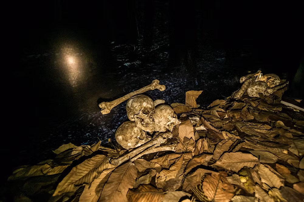 Buổi showcase đã tái hiện lại không khí rùng rợn, ghê sợ của ngôi biệt thự ma ám ở đồn điền Sa Cát - bối cảnh chính của phim.