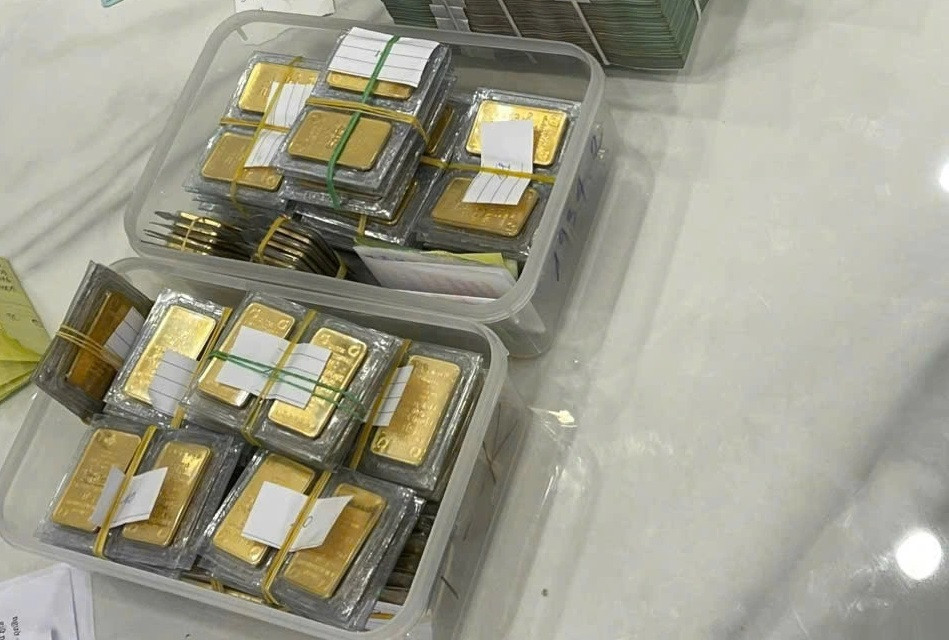 Để thực hiện hành vi lừa đảo, các đối tượng đã tạo lập, quản lý 5 trang web (gồm: Alpha.com, Gtmx.com, Btfx.com, Enzofx.com, Gkfx.com) có giao diện tiếng Anh để tạo niềm tin cho các nhà đầu tư đây là các sàn giao dịch quốc tế, có uy tín nhưng thực chất các trang web này đều được lập trình, gắn với các tài khoản ngân hàng do các đối tượng quản lý; mỗi sàn giao dịch này đều được kết nối với ứng dụng MetaTrader 4, MetaTrader 5 là nền tảng giao dịch ngoại hối, chứng khoán phổ biến trên thế giới.