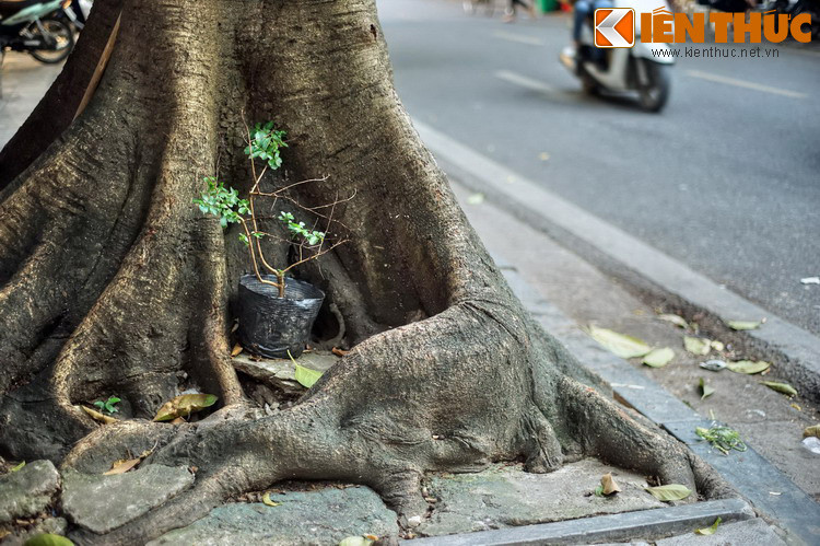  Mời quý độc giả xem video: Ẩm thực Hà Nội xưa và nay. Nguồn: VTC