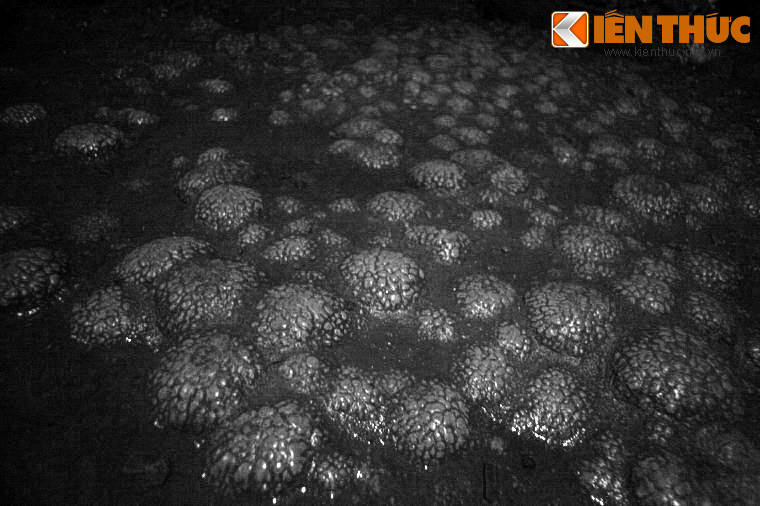 Hóa ra một năm cõi tiên bằng trăm năm cõi trần. Từ Thức buồn rầu, muốn ngồi xe tiên để về núi Phi Lai thì xe đã hóa thành chim loan bay đi mất rồi. Mở bức thư của Giáng Hương ra xem, chỉ thấy có dòng chữ: “Ở nơi tiên cảnh, cùng nhau kết bạn, nay duyên xưa đã hết, không còn mong hội ngộ”.