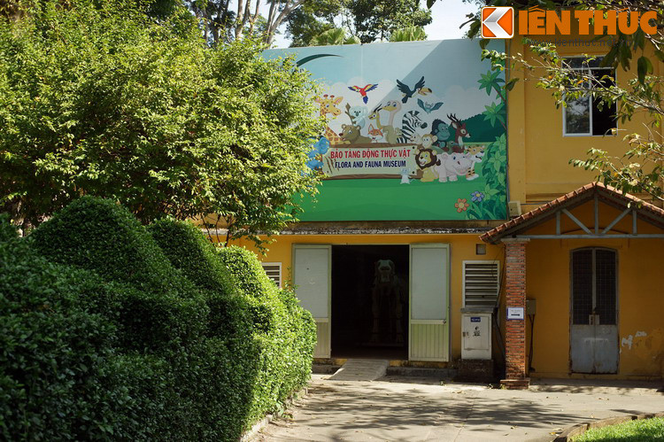 4. Hoạt động từ cuối năm 2018, Bảo tàng Động thực vật nằm trong Thảo Cầm Viên Sài Gòn, là nơi sở hữu bộ sưu tập rất phong phú và đa dạng những mẫu động vật – thực vật từng được chăm sóc, nuôi dưỡng tại vườn thú lâu đời này.