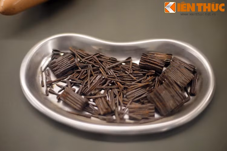 Những chiếc đinh bên trong bom đinh, một loại vũ khí không kém phần man rợ trong cuộc chiến tranh Việt Nam.