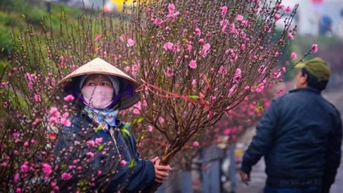  Người lao động được nghỉ tối đa 9 ngày dịp Tết Nguyên đán 2022: Ngày 11/1, Văn phòng Chính phủ ban hành Công văn số 245/VPCP-KGVX truyền đạt ý kiến của Phó Thủ tướng Vũ Đức Đam về việc nghỉ Tết Nguyên đán và Quốc khánh năm 2022. Theo đó, người lao động nghỉ sẽ Tết từ ngày 31/1/2022 đến hết ngày 4/2/2022, cộng với 4 ngày nghỉ cuối tuần, dịp này người lao động có thể nghỉ liên tục 9 ngày... 