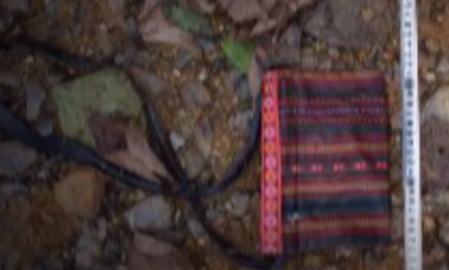 Nạn nhân mặc trang phục của người Kinh nhưng lại đeo chiếc túi nhỏ thổ cẩm của người dân tộc, tai có đeo một đôi khuyên màu vàng kiểu dáng khá đặc trưng của người Mông; ngoài ra nạn nhân khuyết hai răng cửa hàm trên.