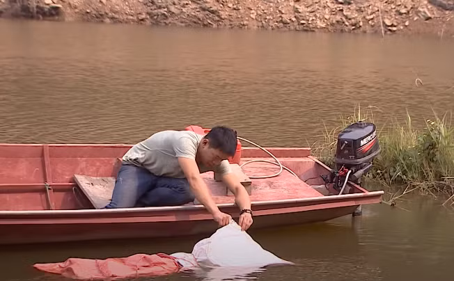 Hanh trinh pha an: Tuong heo chet duoi ho nuoc den gan thi ta hoa