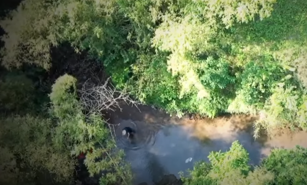 Theo thông tin từ gia đình nạn nhân, trưa 16/9/2016, anh Bế Văn H. có thông báo với gia đình là ra khu vực sông gần nhà đánh cá. Tuy nhiên, đến chiều cùng ngày không thấy anh này trở về nên gia đình đã huy động người đi tìm và báo cho chính quyền địa phương.