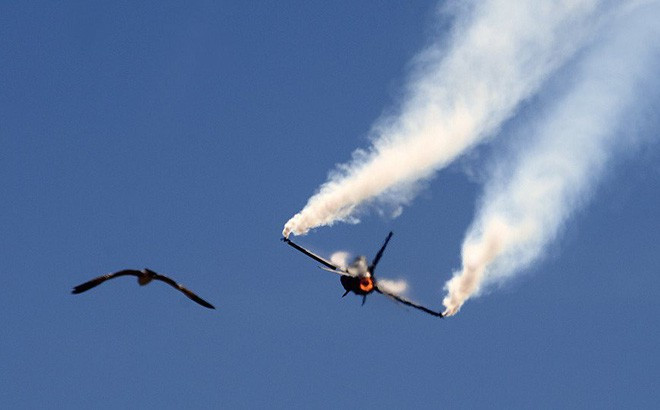 Bộ Ngoại giao Mỹ và đại sứ quán Pakistan tại Mỹ không bình luận về thông tin này.