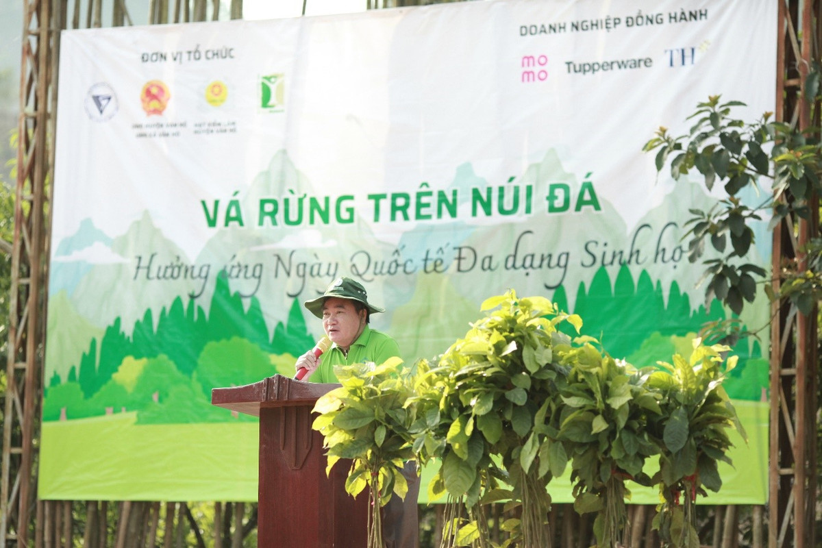 Va rung tren nui da - huong ung Ngay Quoc te Da dang sinh hoc 22/5