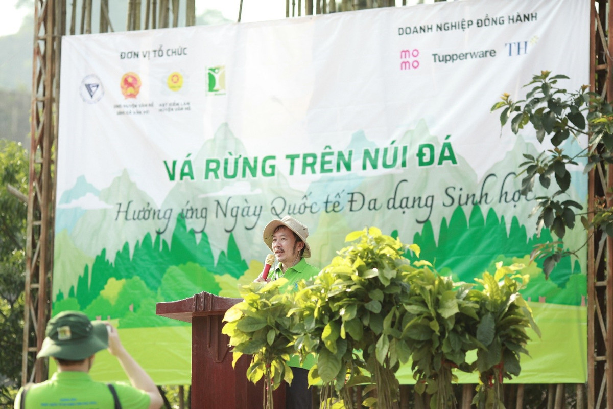 Va rung tren nui da - huong ung Ngay Quoc te Da dang sinh hoc 22/5-Hinh-3