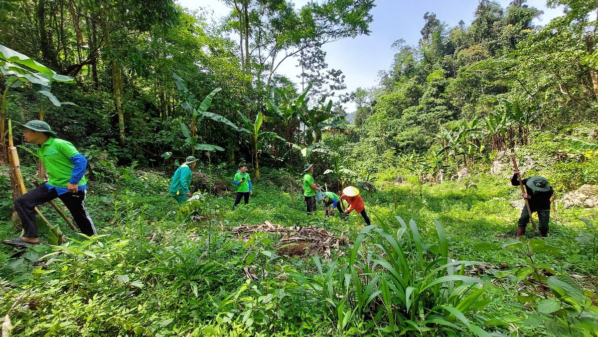 Va rung tren nui da - huong ung Ngay Quoc te Da dang sinh hoc 22/5-Hinh-4