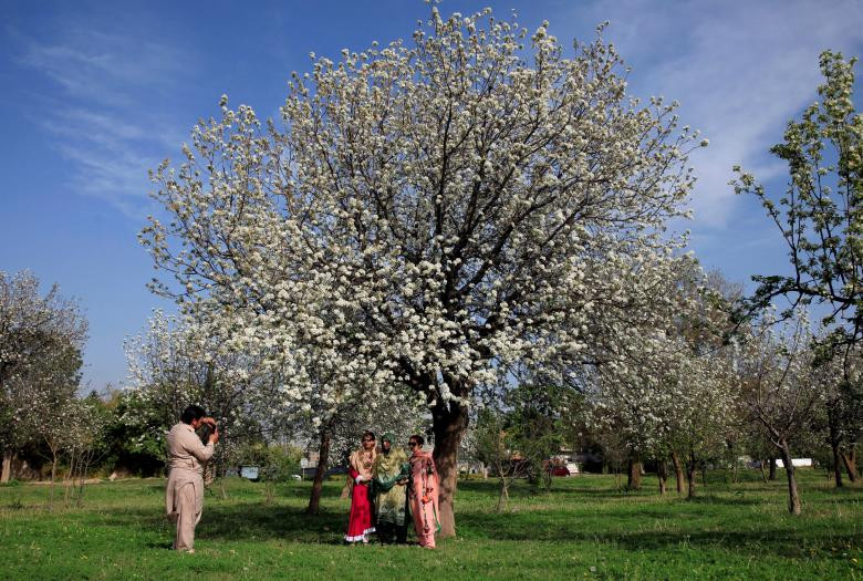 Một gia đình chụp ảnh lưu niệm vào trong cảnh sắc mùa xuân rực rỡ ở Islamabad, Pakistan, ngày 15/3.