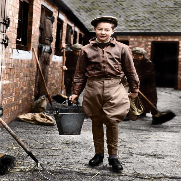 Lester Piggott, 15 tuổi, làm việc giúp đỡ cha mình tại Lambourn, Berkshire, Anh, ngày 27/12/1950.