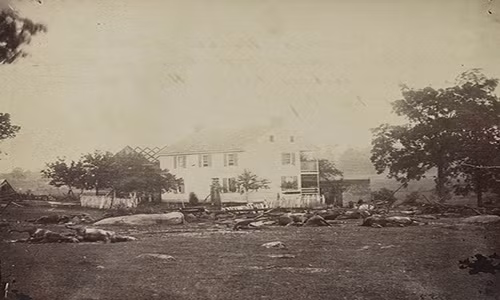 Xác ngựa nằm la liệt trên chiến trường. Được biết, sau trận đánh, khoảng 3.000 xác ngựa đã bị thiêu hủy.