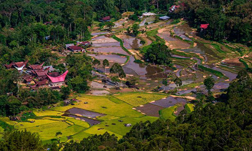 Theo Mirror, ngôi làng người sống ở cùng người chết này “tọa lạc” tại Nam Sulawesi, Indonesia. Nơi đây còn được gọi là “làng của người chết”. (Nguồn ảnh: Mirror)
