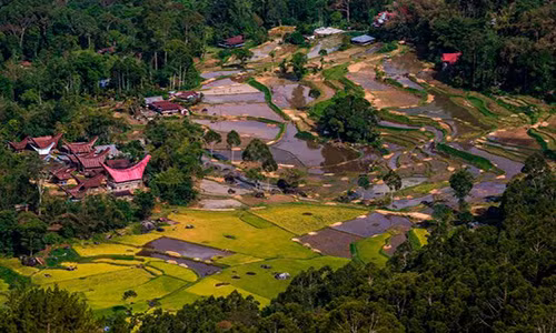 Theo Mirror, ngôi làng người sống ở cùng người chết này “tọa lạc” tại Nam Sulawesi, Indonesia. Nơi đây còn được gọi là “làng của người chết”. (Nguồn ảnh: Mirror)