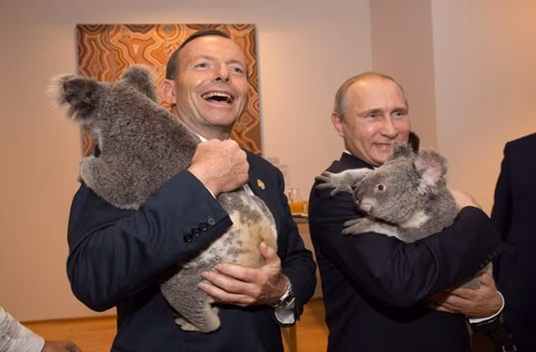 Tổng thống Putin bế một chú gấu Koala tại Hội nghị Thượng đỉnh G20 ở Brisbane, Australia, ngày 15/11/2014.