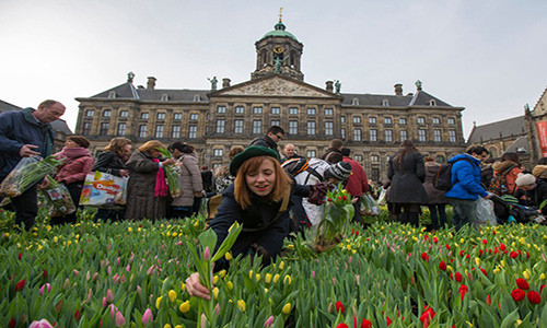 Hà Lan từ lâu đã là quốc gia tiên phong tôn trọng quyền bình đẳng giữa nam giới và phụ nữ. Phụ nữ sau sinh ở đất nước này sẽ được hưởng nhiều chế độ.
