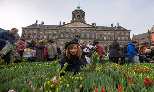 Hà Lan từ lâu đã là quốc gia tiên phong tôn trọng quyền bình đẳng giữa nam giới và phụ nữ. Phụ nữ sau sinh ở đất nước này sẽ được hưởng nhiều chế độ.