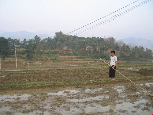 Bà Dương Thị Liệc, trú ở thôn Trạc, đang men theo bờ ruộng đi đến “mỏm đá ma” mà người trong vùng sợ hãi.