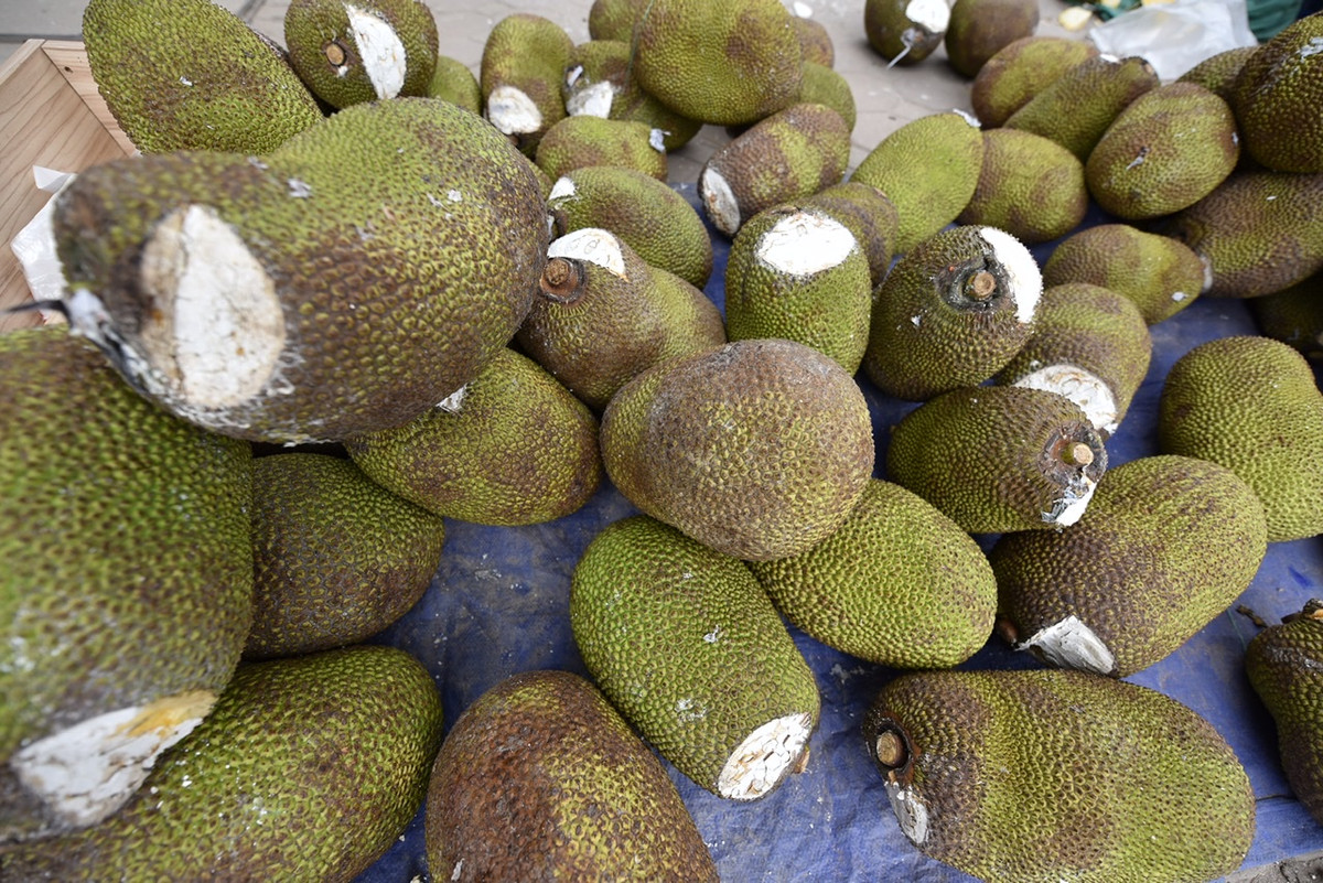 Mít đều được cắt đầu và bảo quản trong quá trình di chuyển.