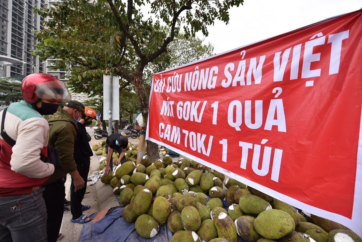 Được biết, khoảng 1 tuần gần đây điểm bán hàng này đã tiêu thụ được khoảng 3 tấn mít Thái.