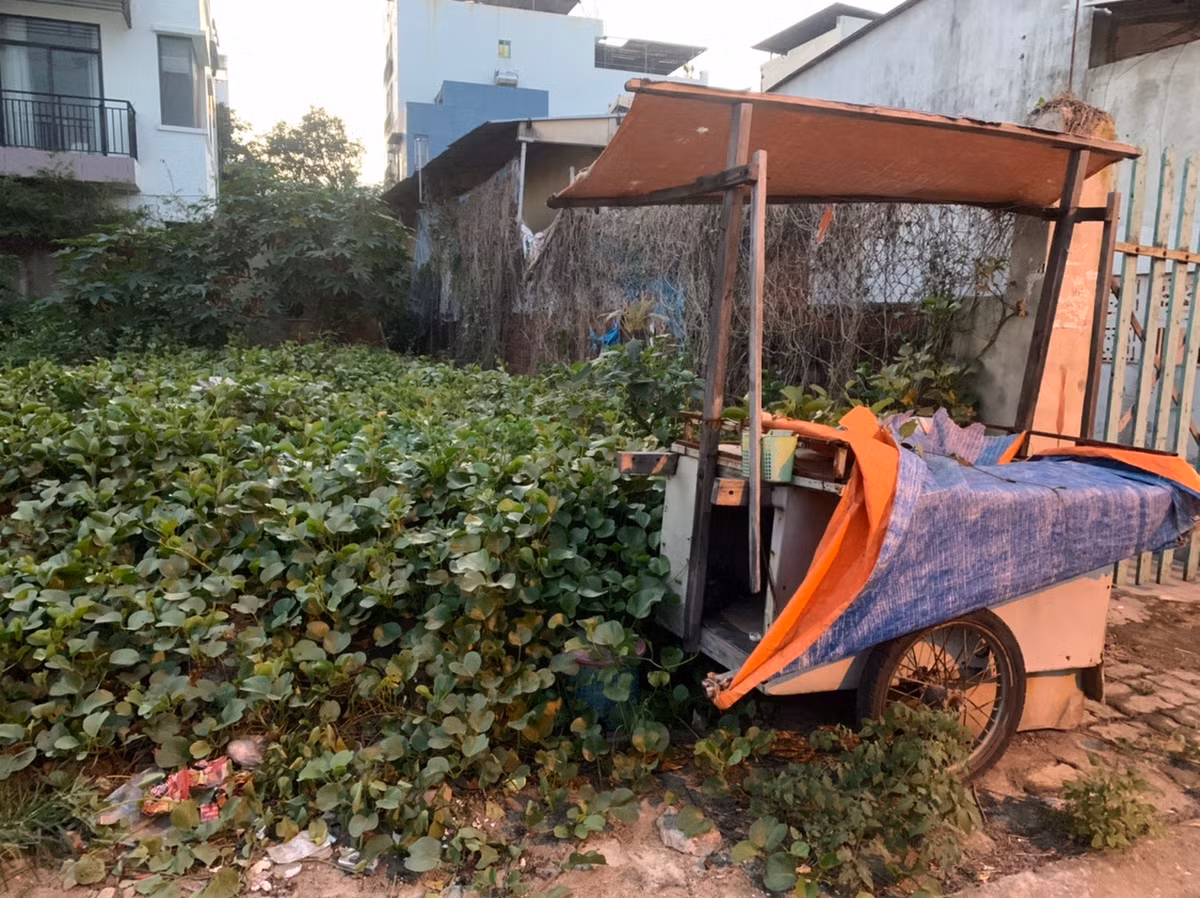 Trước đó, UBND TP Đà Nẵng đã quyết định áp dụng biện pháp phòng chống dịch cấp độ 3 cho quận Liên Chiểu từ ngày 9/12.