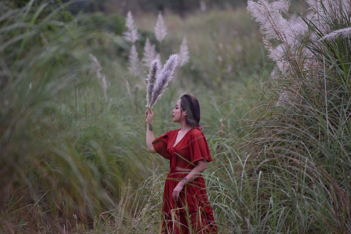 Do cỏ lau tàn rất nhanh sau khi nở nên những ngày này bãi cỏ lau Sông Hồng thu hút rất nhiều người tới check-in.