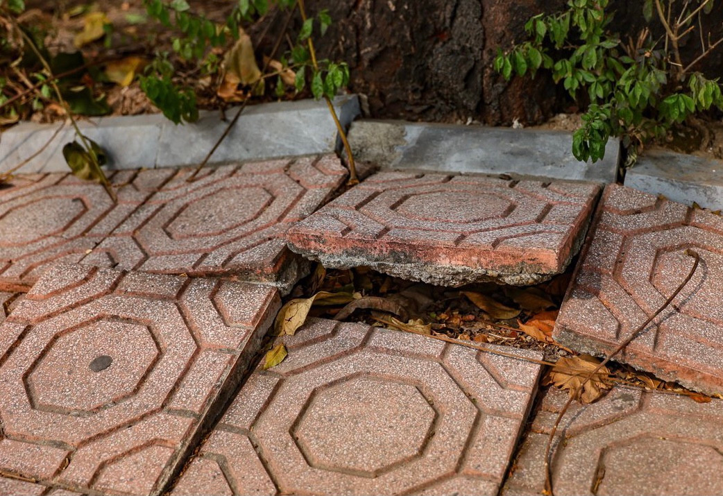 Nhiều đoạn của dải phân cách đã không còn giữ được hiện trạng khi gốc cây làm vỉa hè bị hư hỏng.