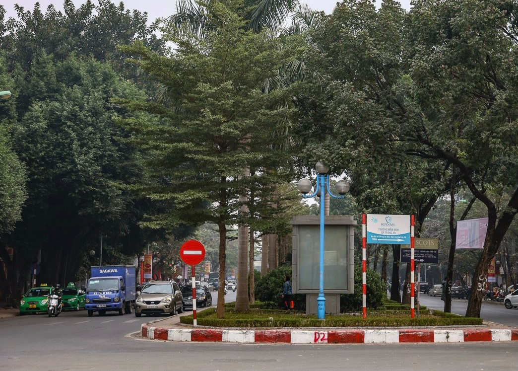 Nhiều cây xanh cũng sẽ được chặt hạ, di dời để phục vụ việc thu hẹp dải phân cách trên đường Hoàng Quốc Việt.