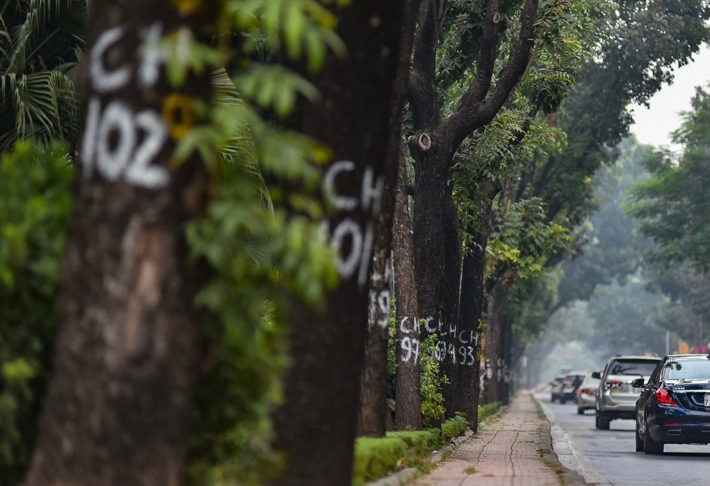 Thời điểm đó, đường Hoàng Quốc Việt được coi là đẹp nhất Thủ đô với vỉa hè rộng cùng hàng cây rộng, thẳng hàng trồng dọc 2 bên đường.