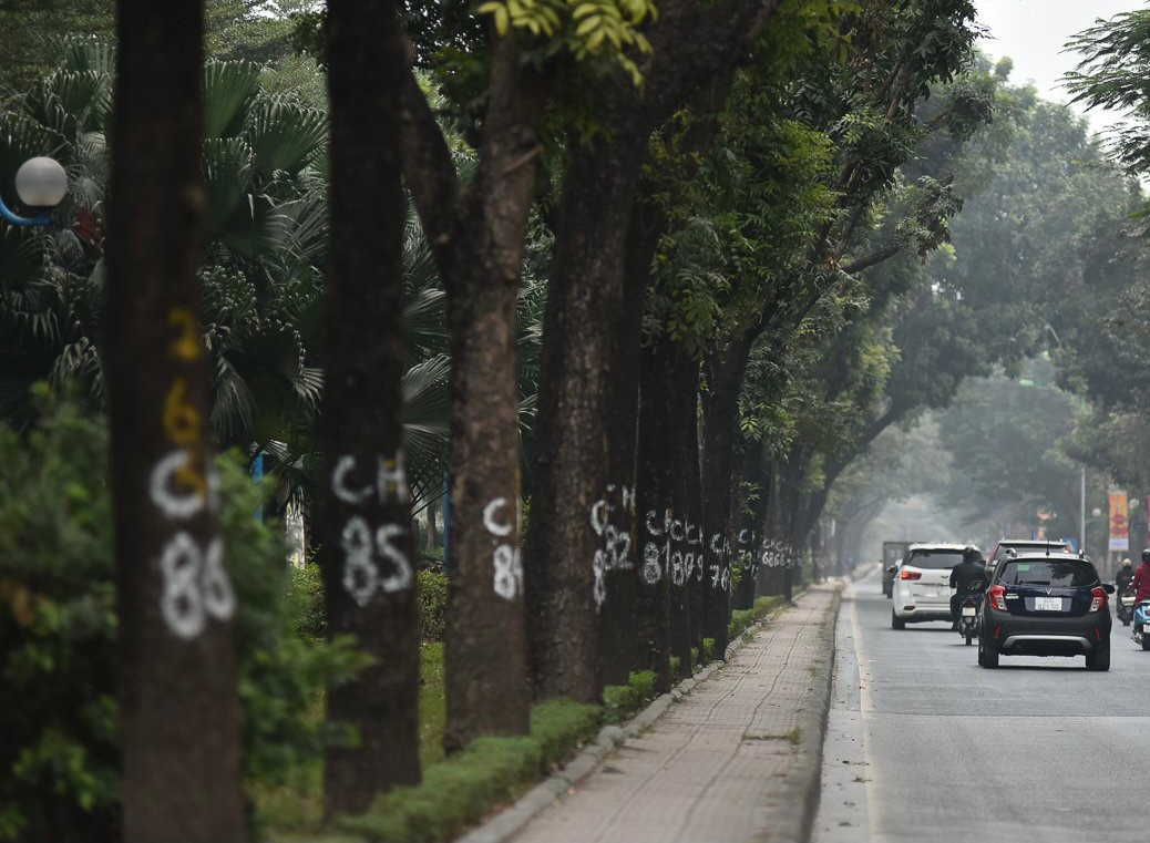Tuy nhiên, trong bối cảnh giao thông hiện nay, việc dải phân cách quá rộng đã khiến mặt đường 2 bên bị thu hẹp, dễ xảy ra ùn tắc.