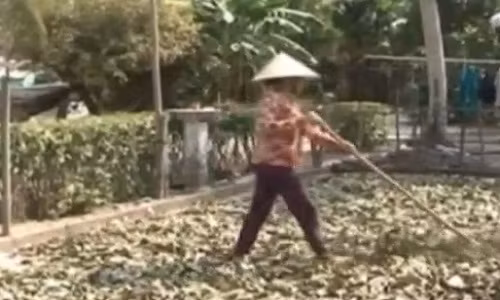 Kho hieu hien tuong thuong lai thu mua la mang cau xiem