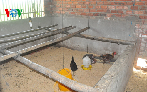 Buc xuc can bo xa chia nhau...ga cua dan