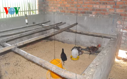 Buc xuc can bo xa chia nhau...ga cua dan