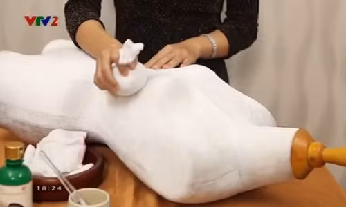 Mach cac me meo nho co sua doi dao ngay sau sinh