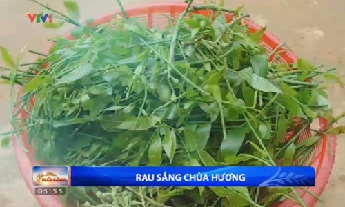 Kham pha dac san rau sang Chua Huong