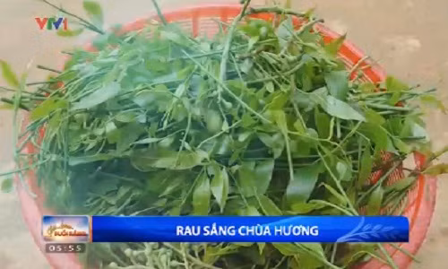 Kham pha dac san rau sang Chua Huong